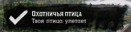 Птица улетела домой