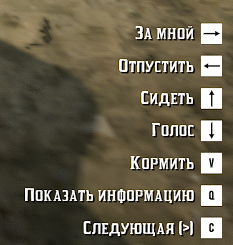 Меню взаимодействия с собакой