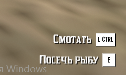 Поклёвка