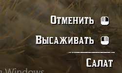 Посадка семечки