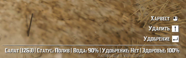 Растение полито